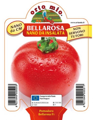 ORTO MIO - PIANTA ALTA QUALITA' -... ORTO MIO - PIANTA ALTA QUALITA' -...