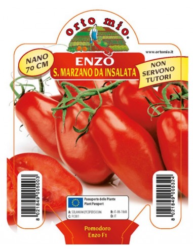 ORTO MIO - PIANTA ALTA QUALITA' -... ORTO MIO - PIANTA ALTA QUALITA' -...