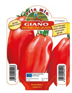 ORTO MIO - PIANTA ALTA...