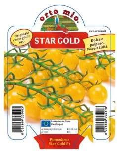 ORTO MIO - PIANTA ALTA...