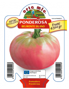 ORTO MIO - PIANTA ALTA...