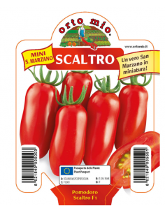 ORTO MIO - PIANTA ALTA...