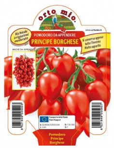 ORTO MIO - PIANTA ALTA...