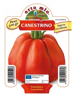 ORTO MIO - PIANTA ALTA...