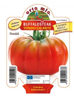 ORTO MIO - PIANTA ALTA...