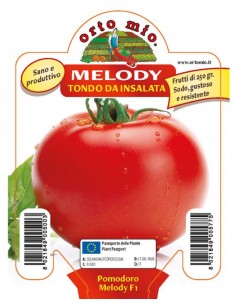 ORTO MIO - PIANTA ALTA...