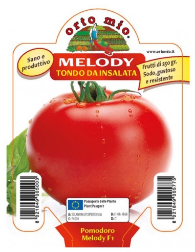 ORTO MIO - PIANTA ALTA QUALITA' -... ORTO MIO - PIANTA ALTA QUALITA' -...