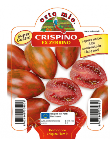 ORTO MIO - PIANTA ALTA QUALITA' -...