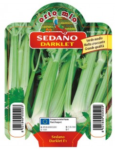 ORTO MIO - PIANTA ALTA...