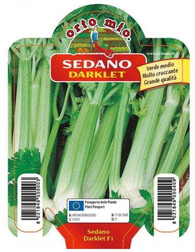 ORTO MIO - PIANTA ALTA QUALITA' -... ORTO MIO - PIANTA ALTA QUALITA' -...