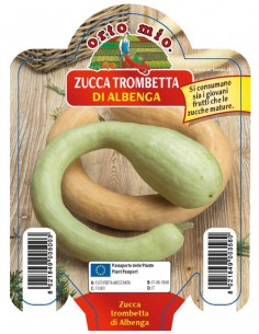 ORTO MIO - PIANTA ALTA...