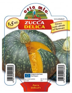 ORTO MIO - PIANTA ALTA...