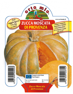 ORTO MIO - PIANTA ALTA...