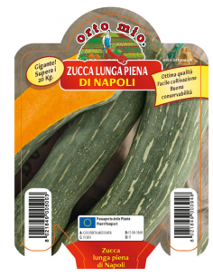 ORTO MIO - PIANTA ALTA...