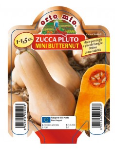 ORTO MIO - PIANTA ALTA...