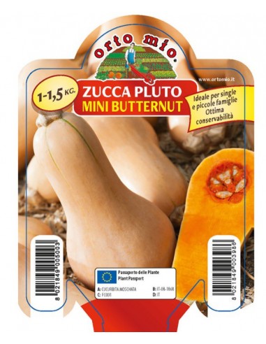 ORTO MIO - PIANTA ALTA QUALITA' -... ORTO MIO - PIANTA ALTA QUALITA' -...