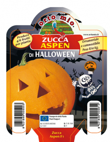 ORTO MIO - PIANTA ALTA QUALITA' -... ORTO MIO - PIANTA ALTA QUALITA' -...