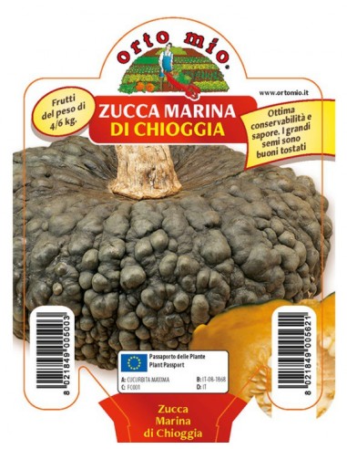 ORTO MIO - PIANTA ALTA QUALITA' -... ORTO MIO - PIANTA ALTA QUALITA' -...