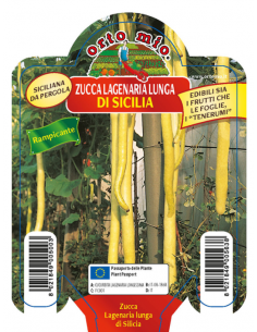 ORTO MIO - PIANTA ALTA...