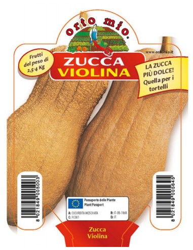 ORTO MIO - PIANTA ALTA QUALITA' -... ORTO MIO - PIANTA ALTA QUALITA' -...