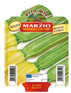 ORTO MIO - PIANTA ALTA...