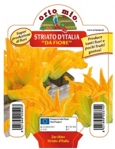 ORTO MIO - PIANTA ALTA...