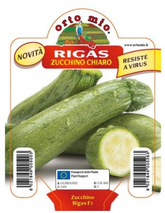 ORTO MIO - PIANTA ALTA...