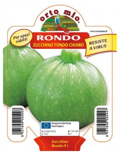 ORTO MIO - PIANTA ALTA...