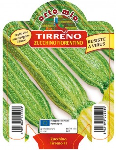 ORTO MIO - PIANTA ALTA...