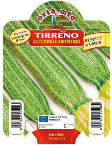 ORTO MIO - PIANTA ALTA QUALITA' -... ORTO MIO - PIANTA ALTA QUALITA' -...