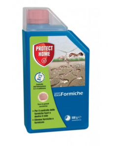 PROTECT HOME - Esca...