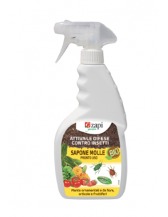 ZAPI - Corroborante Sapone...