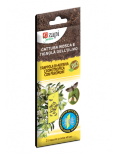 ZAPI - Trappola biadesiva...
