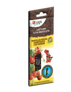 ZAPI - Trappola biadesiva...