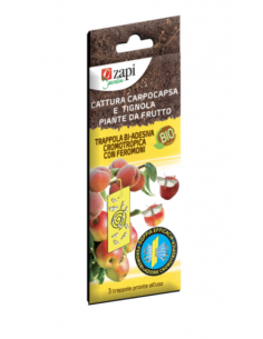 ZAPI - Trappola biadesiva...