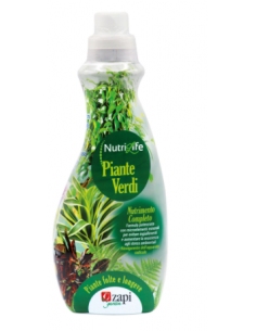 ZAPI Concime Piante verdi -...
