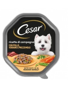 Cesar cane - ricette di...