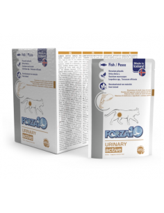 Forza 10 gatto -  linea...