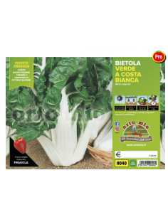 ORTO MIO - PIANTA ALTA...