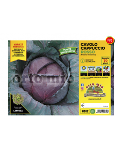 ORTO MIO - PIANTA ALTA...