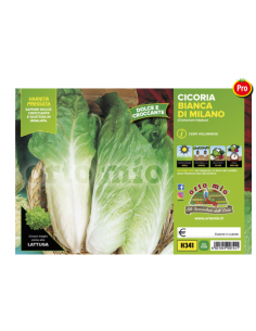 ORTO MIO - PIANTA ALTA...