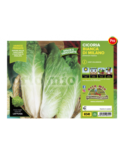 ORTO MIO - PIANTA ALTA QUALITA' -... ORTO MIO - PIANTA ALTA QUALITA' -...