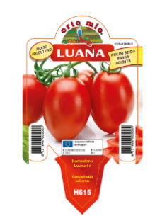 ORTO MIO - PIANTA ALTA...