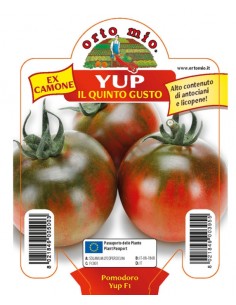 ORTO MIO - PIANTA ALTA...