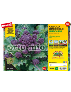 ORTO MIO - PIANTA ALTA...