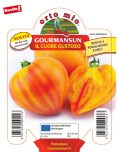 ORTO MIO - PIANTA ALTA...