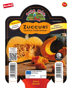 ORTO MIO - PIANTA ALTA...