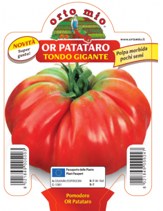 ORTO MIO - PIANTA ALTA...