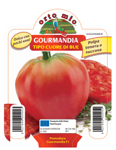 ORTO MIO - PIANTA ALTA...