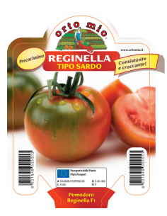 ORTO MIO - PIANTA ALTA...